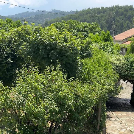Casa De Greire בית נופש קסטלו דה פייבה