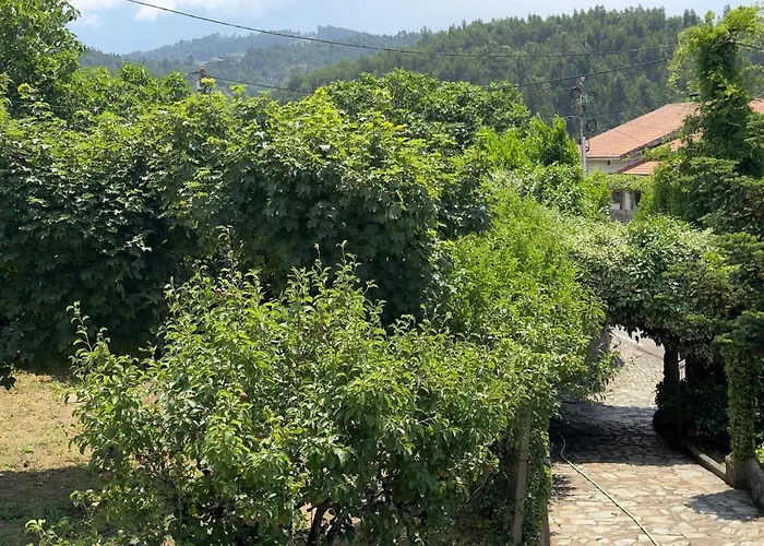 Casa De Greire Hébergement de vacances Castelo de Paiva