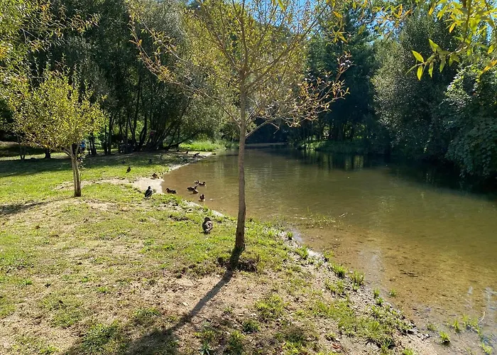 Hébergement de vacances Casa De Greire *